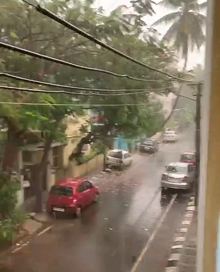 Screenshot_2020-04-24-07-46-46