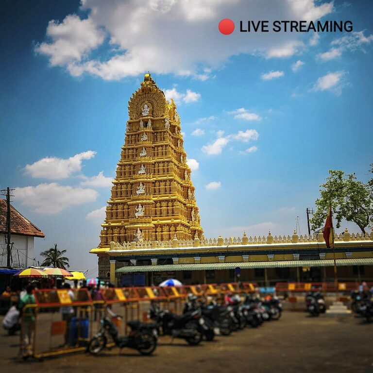 Karnataka mulls e-darshan for devotees
