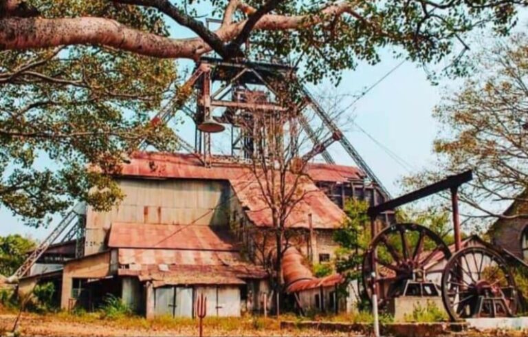 WhatsApp Image 2020-05-14 at 16.27.43