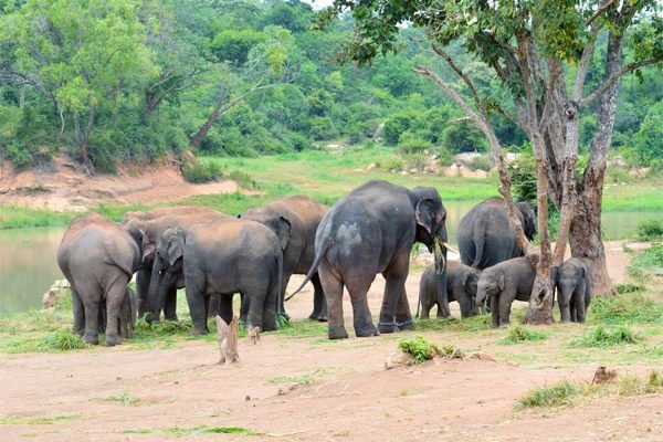 11751773_1673807192852033_2439998771701611622_n