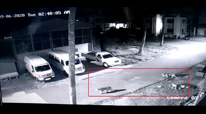 Screenshot_2020-06-13-23-18-07