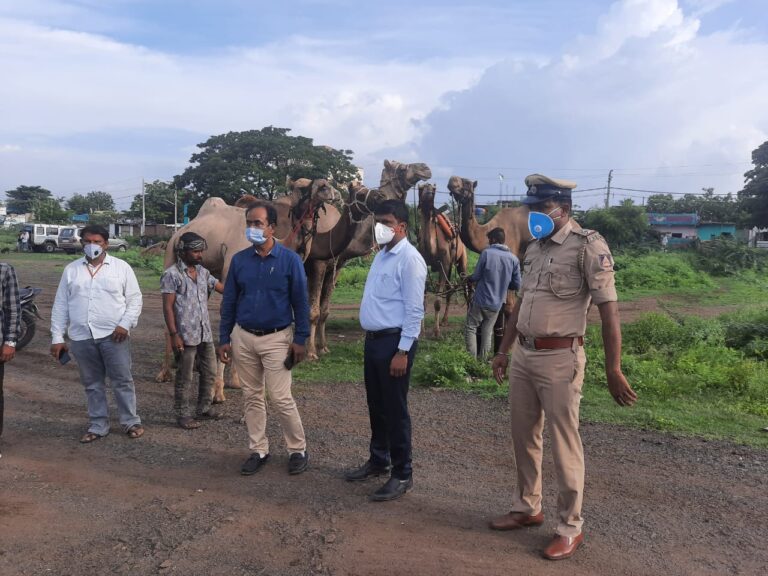 Team to prevent illegal animal slaughter in Bengaluru