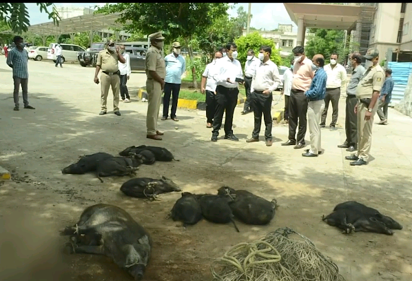 Screenshot_2020-07-20-15-50-52