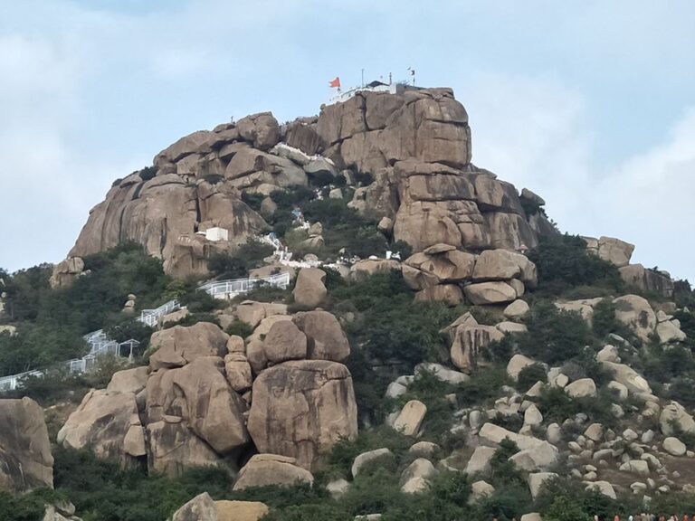 Stone from Anjanadri hill for Ram Mandir: MLA