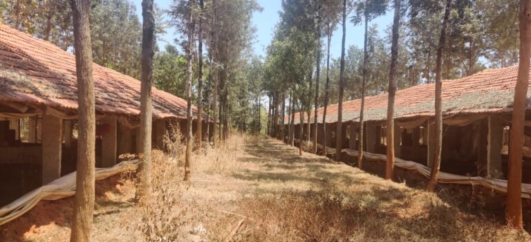 Govt to regularise ‘B Kharab’ land in Bengaluru