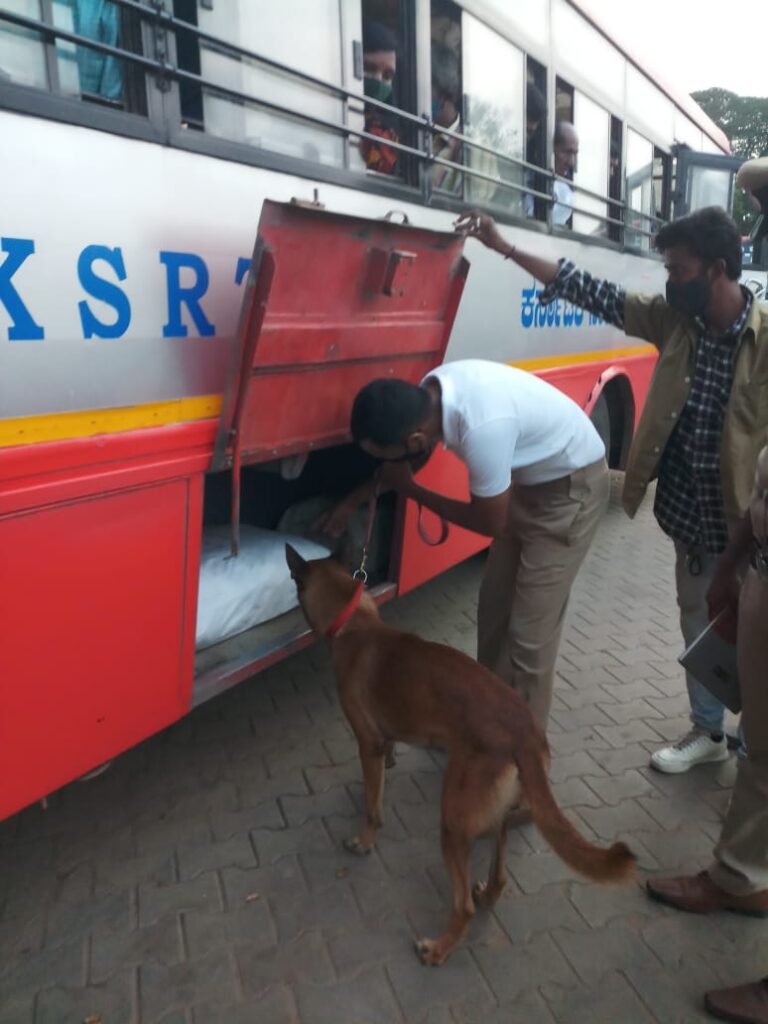 WhatsApp Image 2020-09-02 at 10.36.16