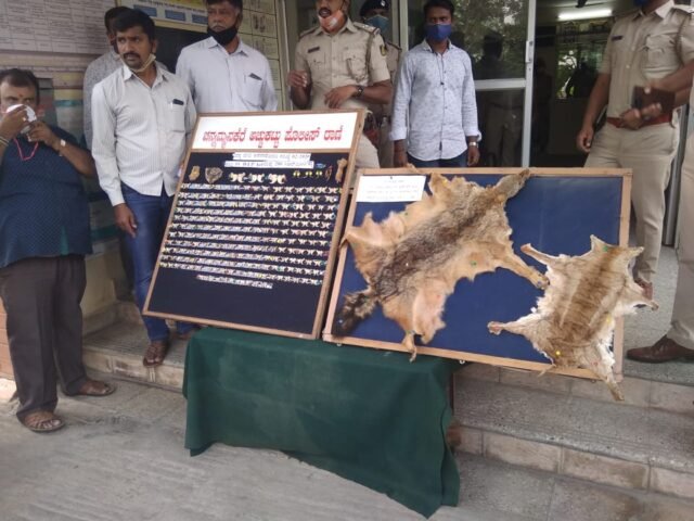 Four held for selling animal skin, claws