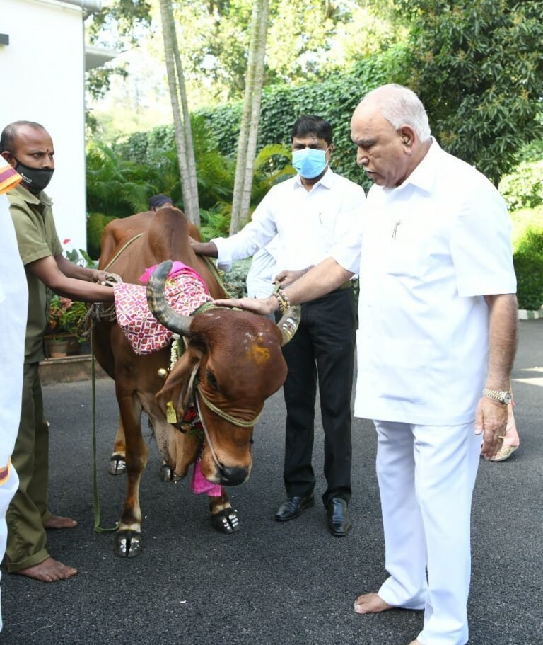 Karnataka govt will promulgate anti-cow slaughter ordinance: CM