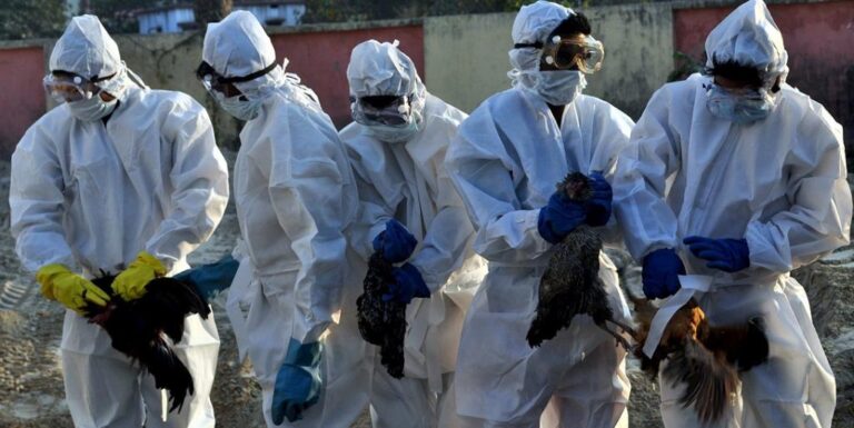 State on guard to check bird flu: Karnataka Health Minister