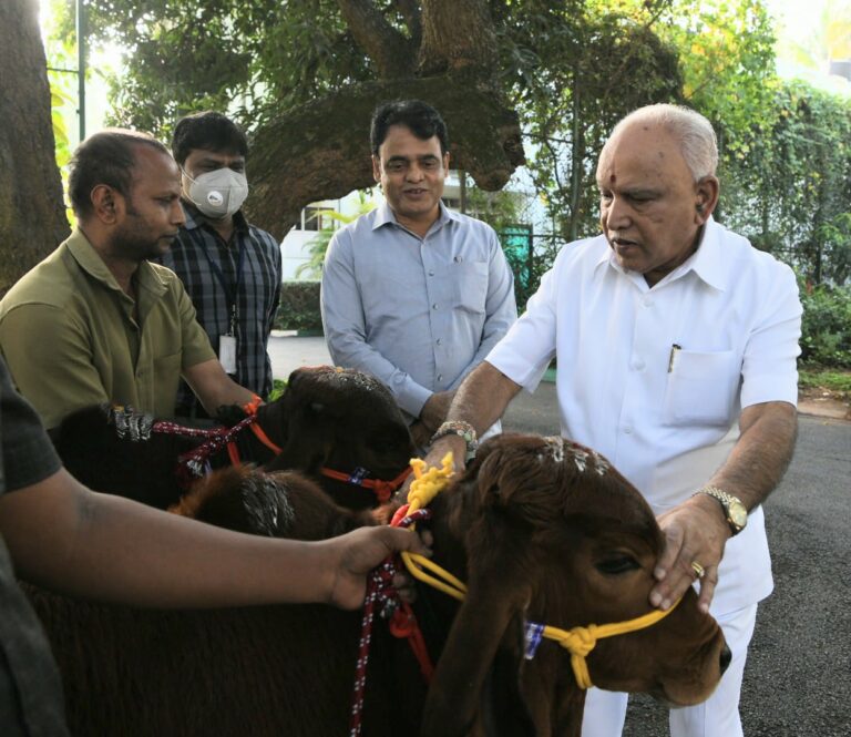 Anti-cow slaughter Bill passed in Karnataka Legislative Council