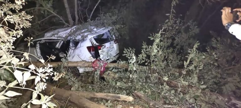 Union minister Shripad Naik hurt in accident; wife, aide dead