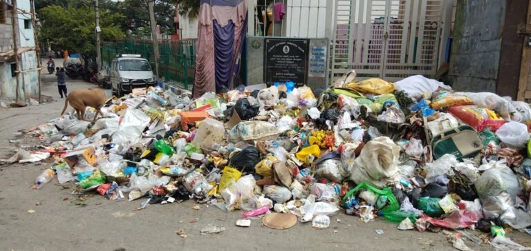 Garbage panacea? Bengaluru Solid Waste Management Ltd is born