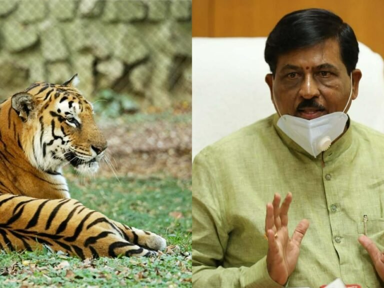 Karnataka Minister adopts Mysuru zoo tiger