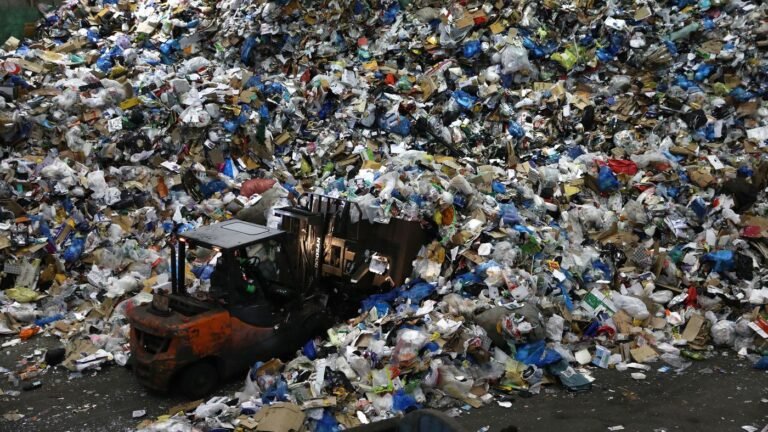 Karnataka sets up Special Task Force to eliminate single use plastic