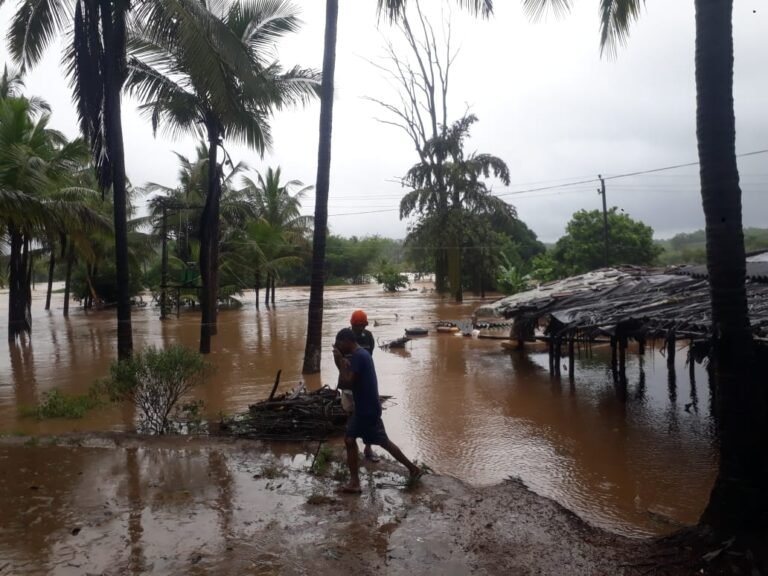 Red alert in 7 districts as Karnataka sees record 500 mm rainfall4
