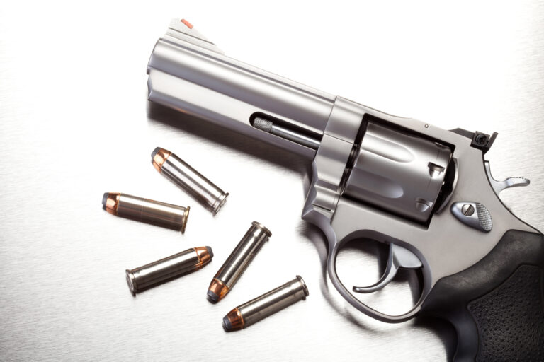 Bengalureans can now apply for gun licence online