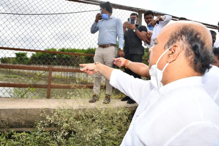 Bommai near Storm Water Drain in Bangalroe