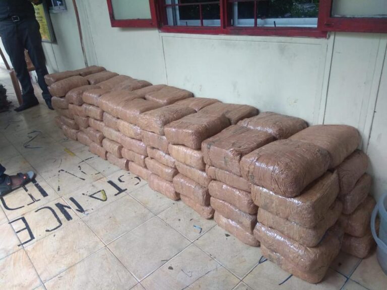 NCB busts 3 drug rings across south India