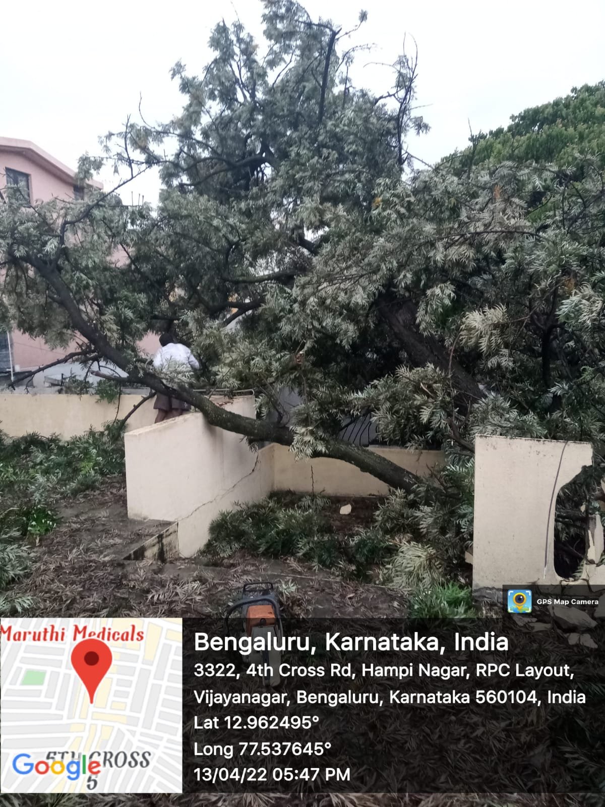 BBMP red alert as weatherman predicts rains for 3 days in Bengaluru treefall