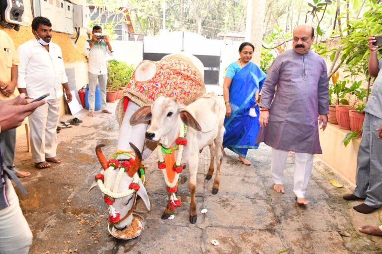 Ex-CM Bommai condemns Karnataka Animal Husbandry Minister's statement on cow slaughter