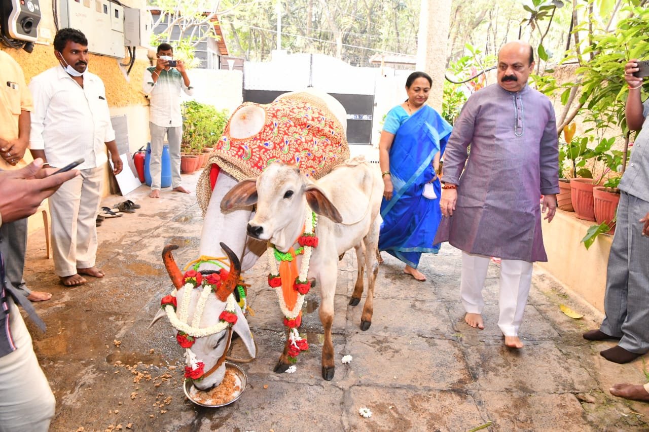 Ex-CM Bommai condemns Karnataka Animal Husbandry Minister's statement on cow slaughter