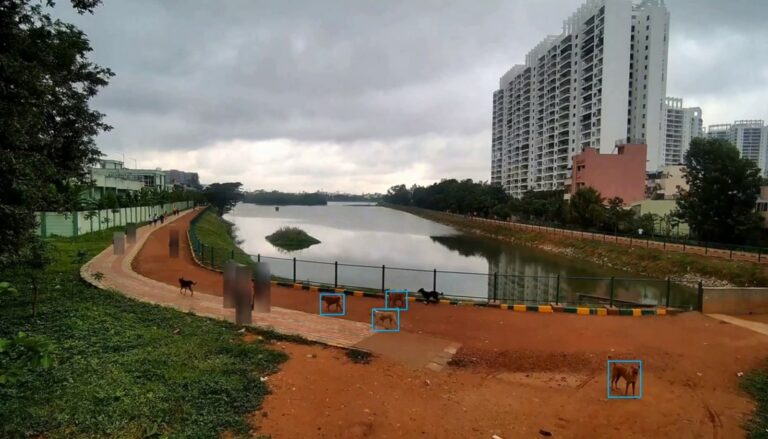 Bengaluru: BBMP joins hands with IISc-based startup for survey of stray dogs in city