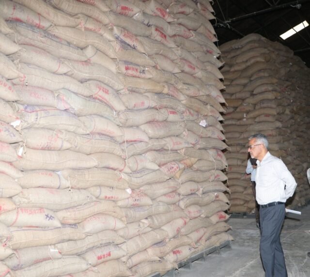 Govt to sell additional 50 lakh tons wheat, 25 lakh tons rice in open market