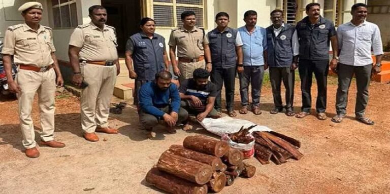 125 kg of red sanders seized, two held