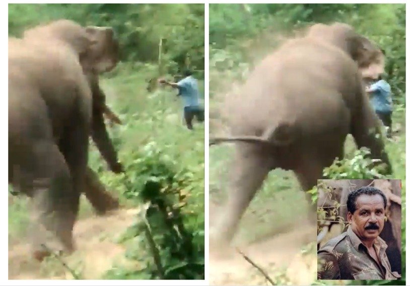 Hassan: Wildlife sharp shooter Venkatesh dies in elephant attack