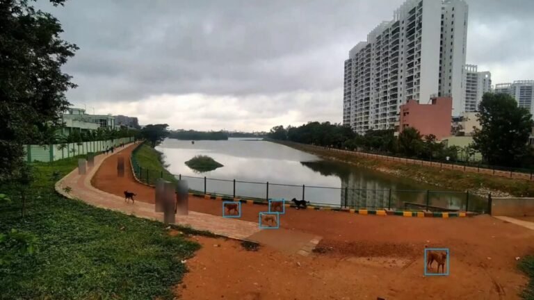 Bengaluru has 2,79,335 stray dogs in BBMP limits