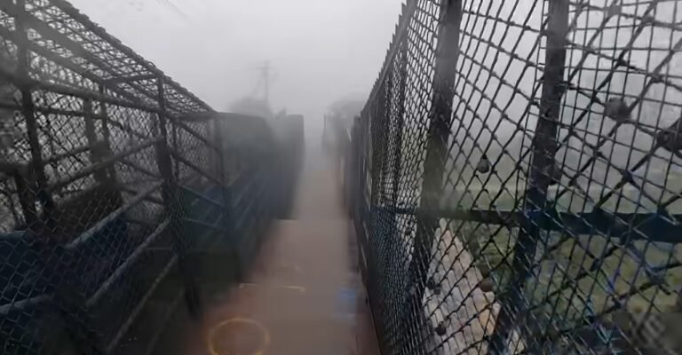 Chikkamagalur | Entry to Datta Peetha and Mullayyanagiri barred from November 4 to November 6