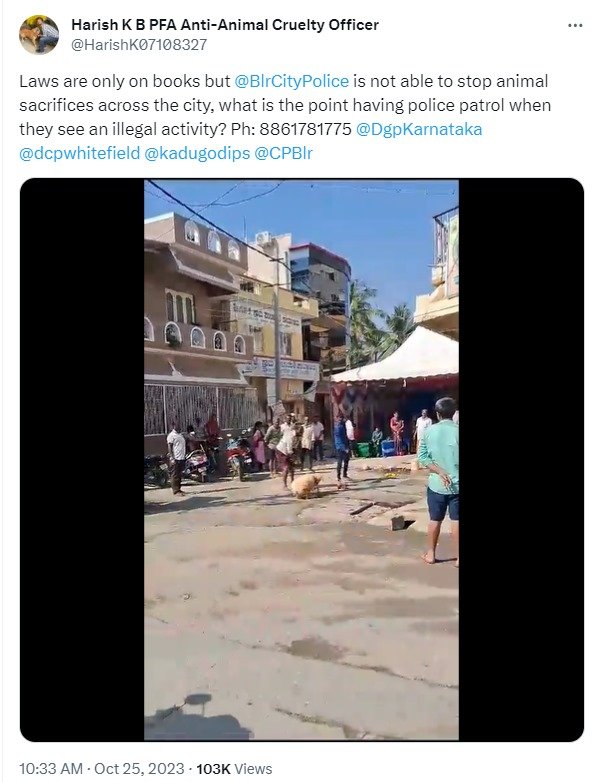 Bengaluru | Sheep Sacrifice Near Patalamma Devi and Safalamma Temple; FIR Filed Against Three Individuals