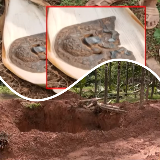 12th Century Idol of Lord Gopalakrishna Unearthed During Excavation on Areca Farm in Belthangady Taluk