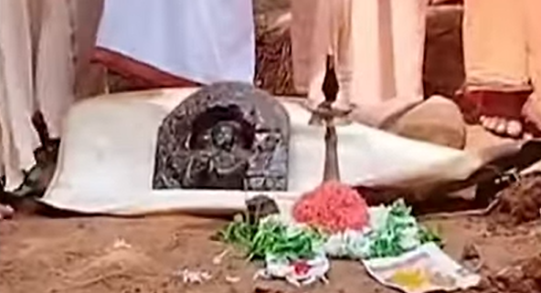 12th Century Idol of Lord Gopalakrishna Unearthed During Excavation on Areca Farm in Belthangady Taluk