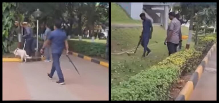 Bomb threat calls to 15 Private Schools in Bengaluru: Police on high alert, It's Fake Bomb Threat says Bengaluru Police Commissioner B Dayananda