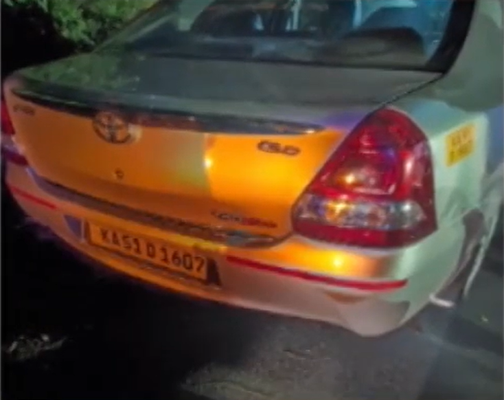 Speeding car kills Tiger in Karnataka