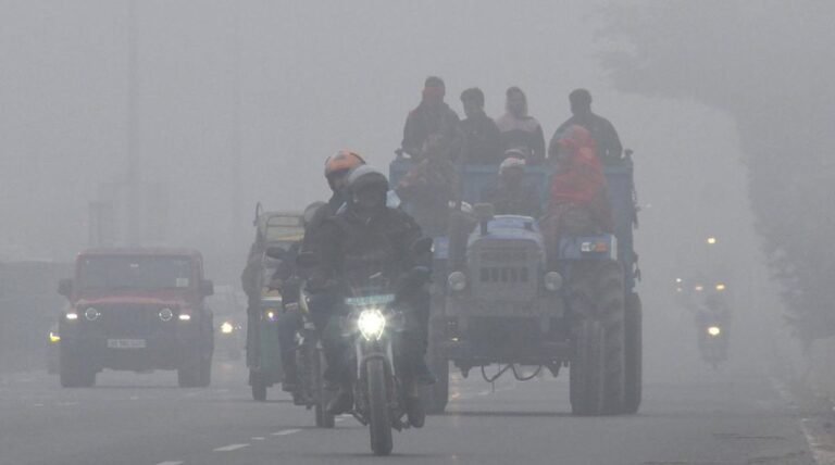 Cold weather conditions persist in Punjab, Haryana; Amritsar records 4.6 deg C