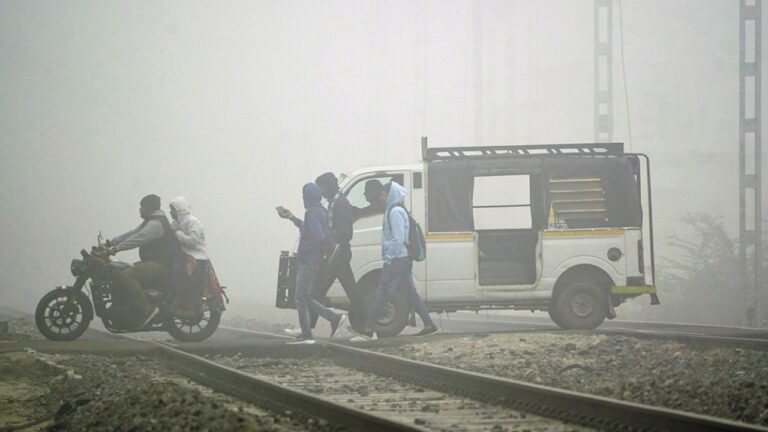 Cold weather conditions continue to persist in Punjab, Haryana