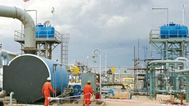 HPCL to commission Barmer refinery by January 2025: S Bharathan