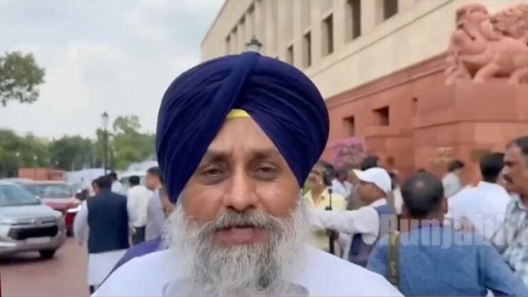 AAP robbing Punjab’s natural resources to expand party: Badal