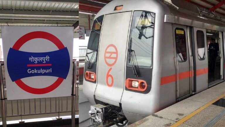Portion of Gokalpuri Metro Station collapses: Delhi Police