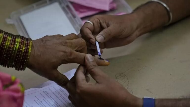 Supply of indelible ink to states for LS polls completed; biggest chunk for UP
