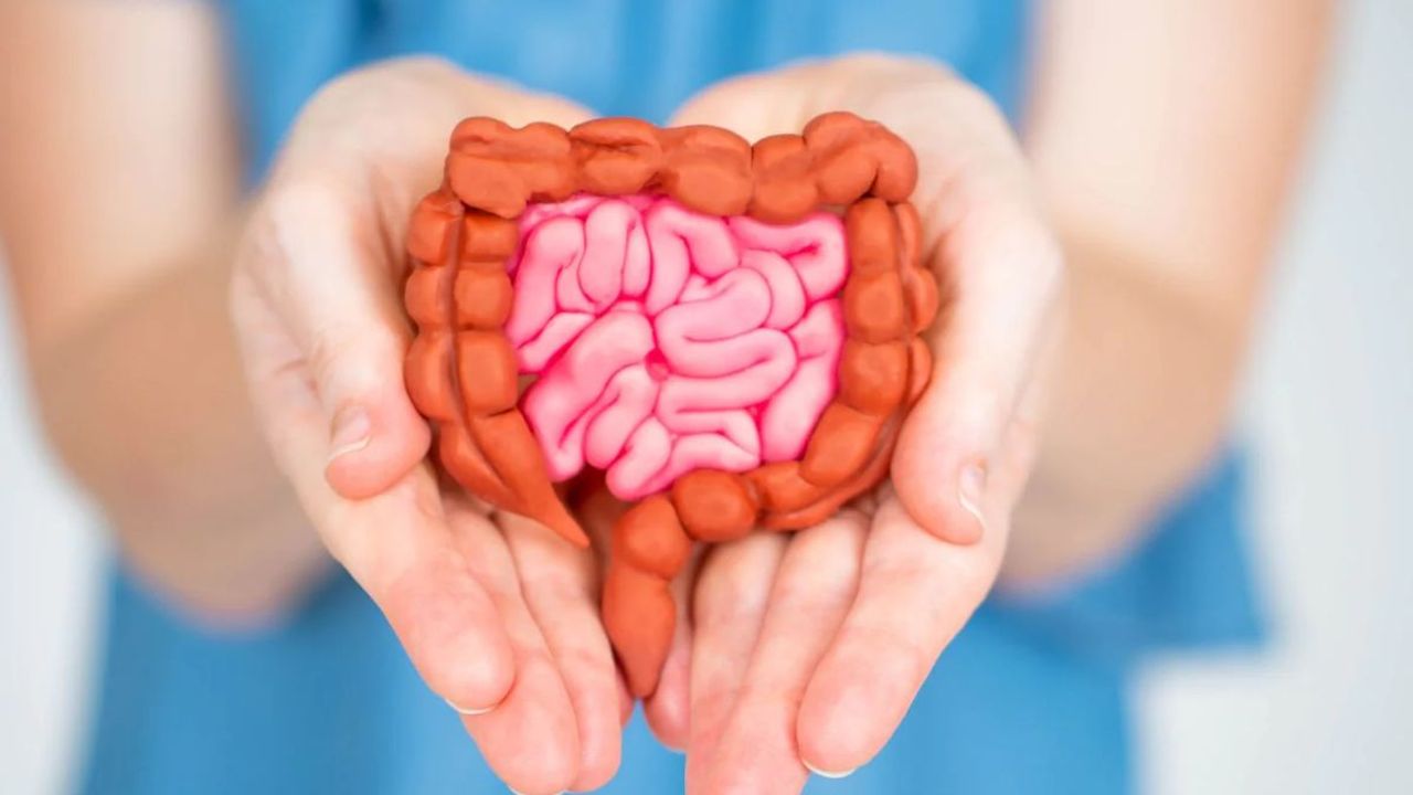 Gut bacteria and the immune system: How aging changes the microbiome and can lead to ‘inflammaging’