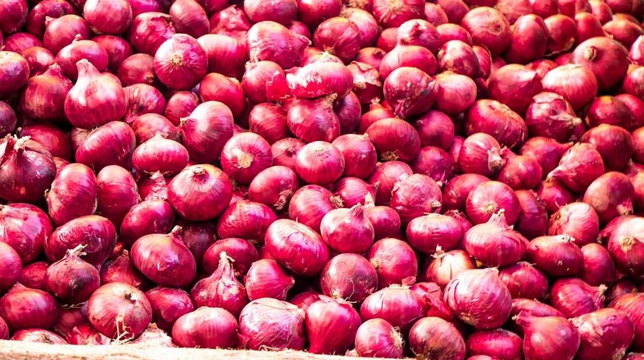 Govt plans big scale radiation processing of onions to prevent shortages