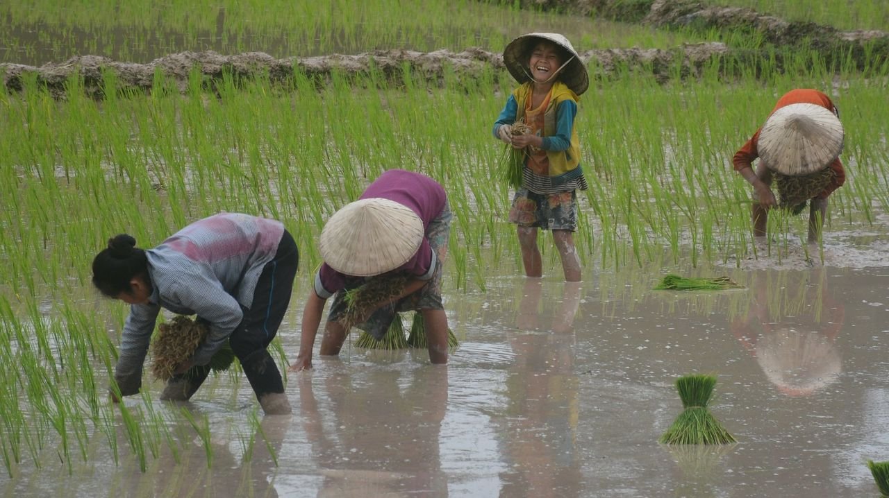 India’s rain-fed agri areas likely to receive above-normal monsoon rain this year
