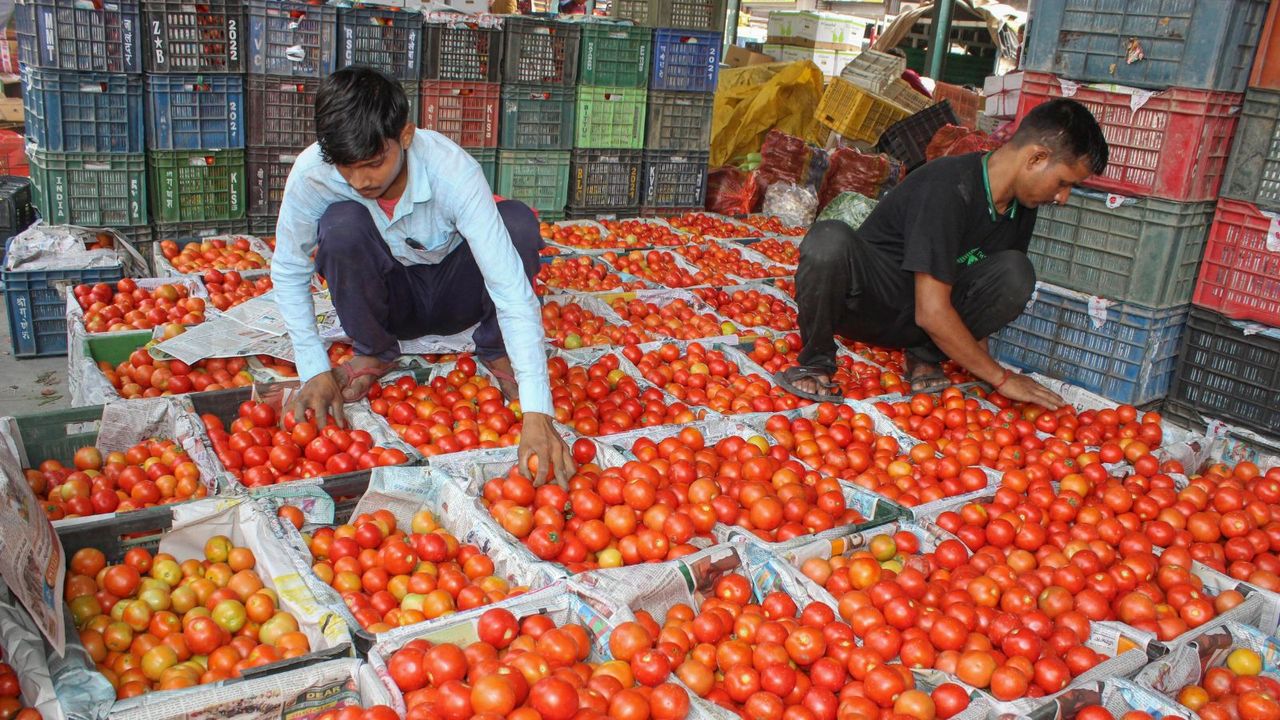 Tomato prices may ease in coming weeks on supplies from Andhra, Karnataka