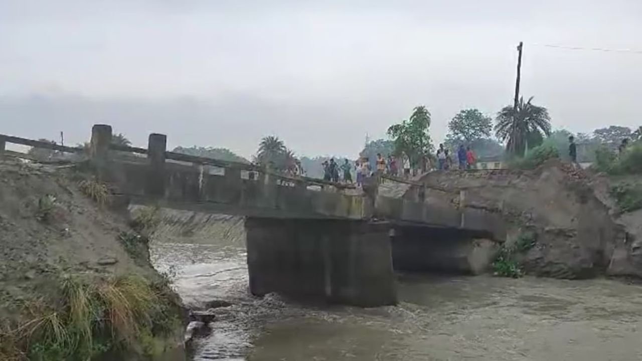 PIL in SC over multiple bridge collapse incidents in Bihar