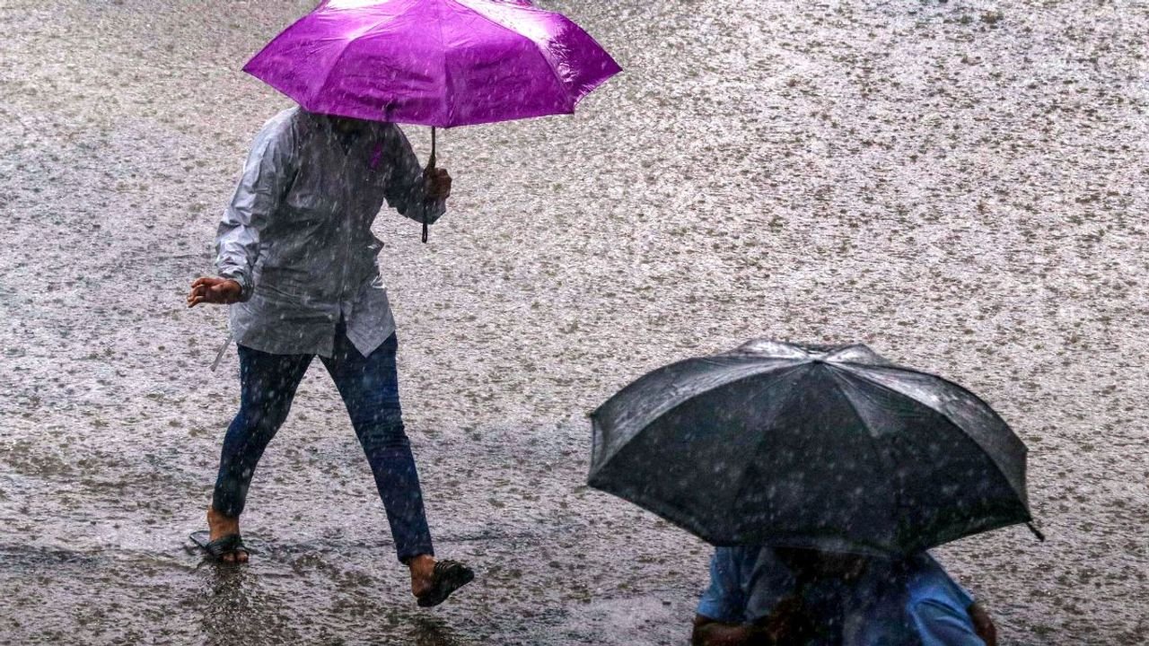 Maharashtra: Amid heavy rainfall prediction, holiday for schools in parts of Vidarbha and Raigad