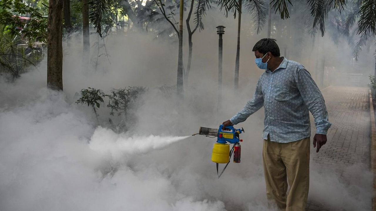 Amid spike in dengue cases, Karnataka govt. launches awareness campaign