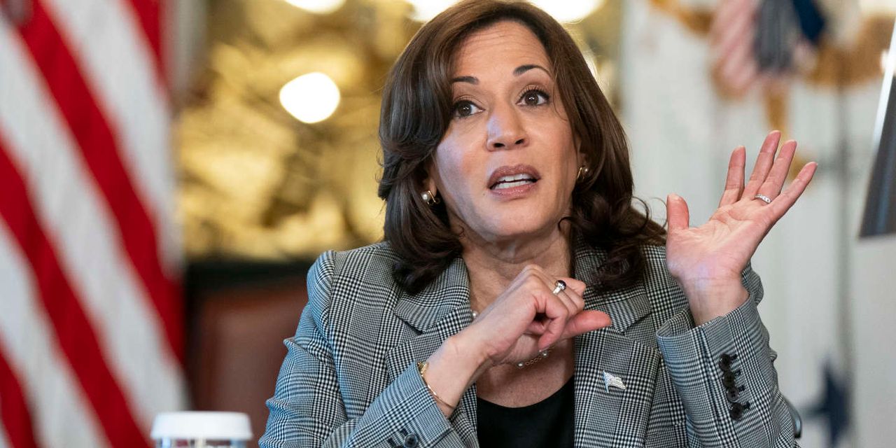 Honoured by Biden’s endorsement, aim to defeat Trump in November: Kamala Harris